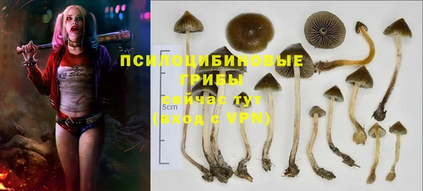 спайс Волоколамск