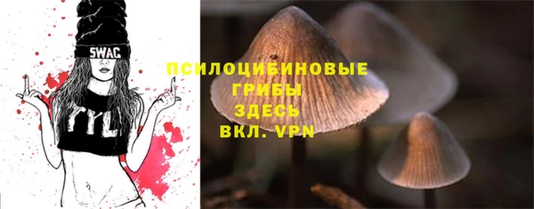 спайс Волоколамск