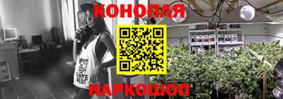 прущие грибы Лесосибирск