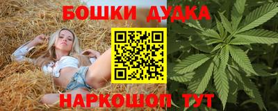 прущие грибы Лесосибирск