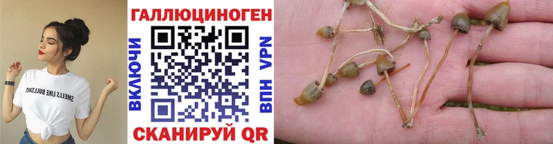 гидра   Елец  Псилоцибиновые грибы Magic Shrooms  где купить  