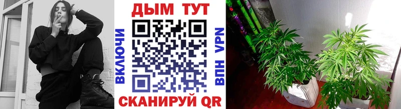 Каннабис ГИДРОПОН  где можно купить   Елец 